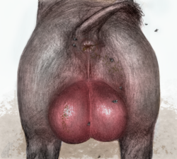 4EFC053A-BF37-4013-B922-51C379F4F701.png 4EFC053A-BF37-4013-B922-51C379F4F701.png