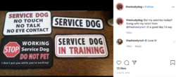Servicedogpatches.png Servicedogpatches.png