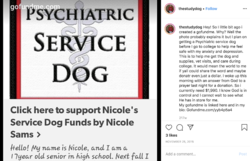 Gofundme.png Gofundme.png