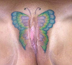 vatoo butterfly1.jpg vatoo butterfly1.jpg