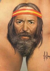 vatoo pube beard.jpg vatoo pube beard.jpg