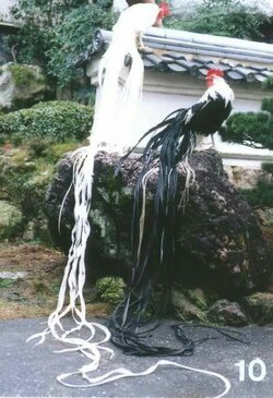 onagadori.jpg onagadori.jpg