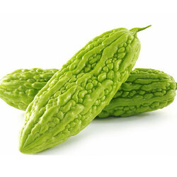 Bitter-Melon.jpg Bitter-Melon.jpg