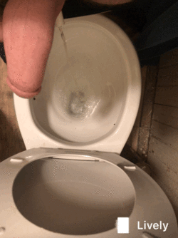 img_5613_lively.gif img_5613_lively.gif