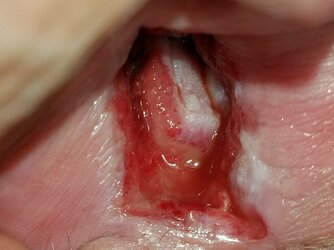 20170822_200741.jpg 20170822_200741.jpg