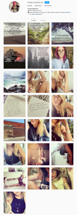 screencapture-instagram-thedomestictruth-2021-06-18-13_25_08.png screencapture-instagram-thedomestictruth-2021-06-18-13_25_08.png