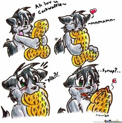 cockwaffle.jpg cockwaffle.jpg