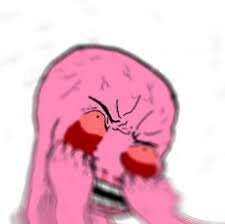 soy002.jpg soy002.jpg