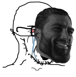soy5.png soy5.png