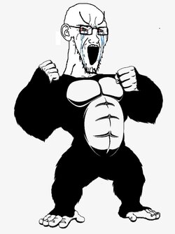 soy115.jpg soy115.jpg