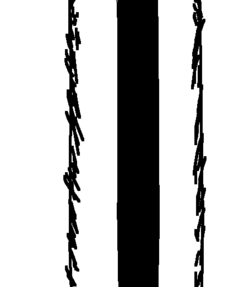 soy178 (2).png soy178 (2).png