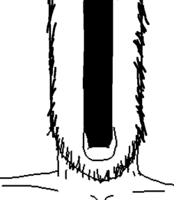soy179 (2).png soy179 (2).png