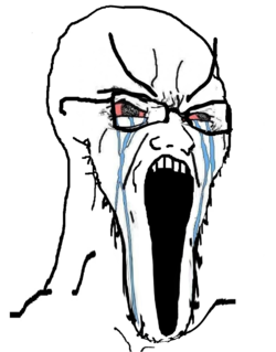soy190.png soy190.png
