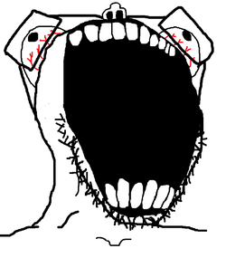 soy208 (2).png soy208 (2).png