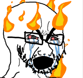 soy219.png soy219.png