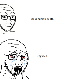 soy245.PNG soy245.PNG