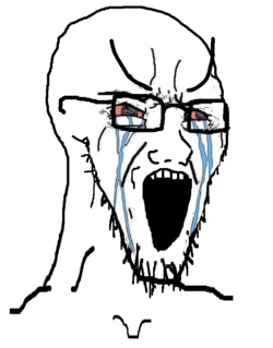 soy298.png soy298.png