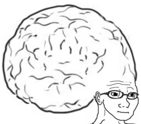 soy306.png soy306.png