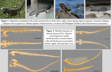 2021-08-11 09_42_19-Window.png 2021-08-11 09_42_19-Window.png