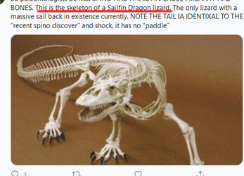 skele_lol.jpg skele_lol.jpg
