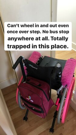 NhsMare4 (22).jpg NhsMare4 (22).jpg