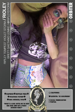 o RIPLEY AD.jpg o RIPLEY AD.jpg