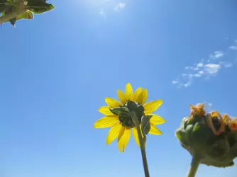 2017-08-20 23.53.09.jpg 2017-08-20 23.53.09.jpg