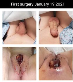 sgiynk66n9y71.jpg sgiynk66n9y71.jpg