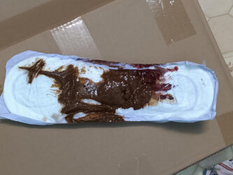 Poop_vagina_pad.jpg Poop_vagina_pad.jpg