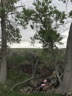 20220203_194713.jpg 20220203_194713.jpg