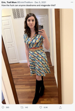 outfit 33.png outfit 33.png