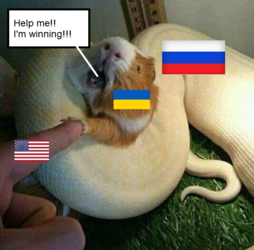 1647403711090.png 1647403711090.png