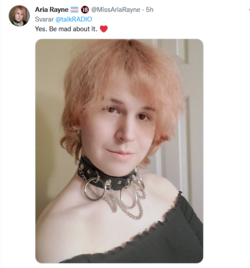 1648617247952.png 1648617247952.png