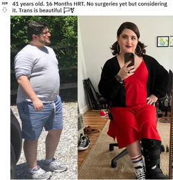 translater2.png translater2.png