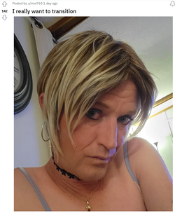 translater7.png translater7.png