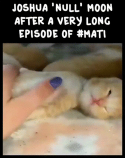 doc_2022-12-19_15-55-52.gif doc_2022-12-19_15-55-52.gif