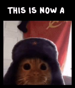 j2.gif j2.gif