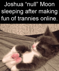 kittenmoon.gif kittenmoon.gif