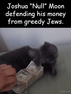 kittenmoon6.gif kittenmoon6.gif