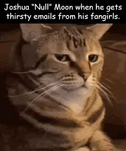 kittenmoon7.gif kittenmoon7.gif