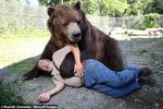 images (15).jpeg images (15).jpeg