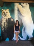 How-Tall-is-a-Polar-Bear-Polar-Bear-Height.jpg How-Tall-is-a-Polar-Bear-Polar-Bear-Height.jpg