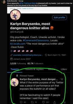 karlyn93.PNG karlyn93.PNG