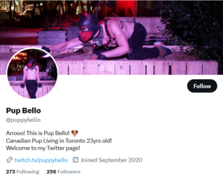Screenshot 2023-03-20 at 17-49-12 Pup Bello (@puppybello) _ Twitter.png Screenshot 2023-03-20 at 17-49-12 Pup Bello (@puppybello) _ Twitter.png