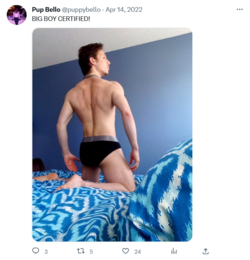 Screenshot 2023-03-20 at 17-52-35 Pup Bello (@puppybello) _ Twitter.png Screenshot 2023-03-20 at 17-52-35 Pup Bello (@puppybello) _ Twitter.png