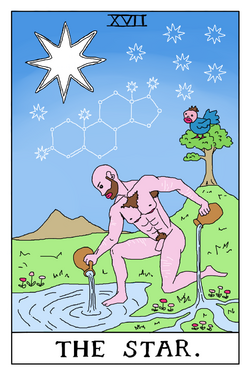 the star.png the star.png
