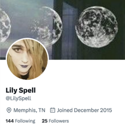 twitter lily spell memphis.png twitter lily spell memphis.png