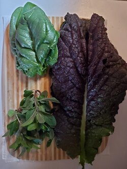harvest.jpg harvest.jpg