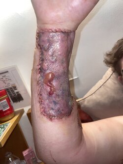 IMG_8944.jpeg IMG_8944.jpeg
