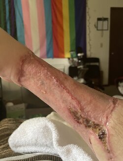 IMG_8937.jpeg IMG_8937.jpeg